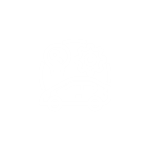 Automobile Sector
