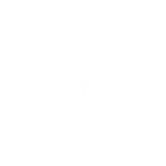 Petroleum